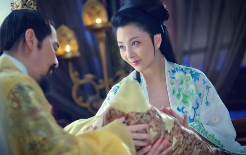 大宋传奇之赵匡胤男女主角演员照